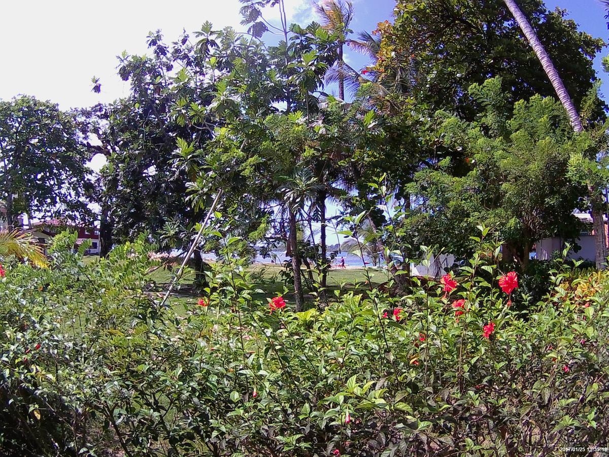 Hospedaje Yarisnori Boca del Drago Luaran gambar